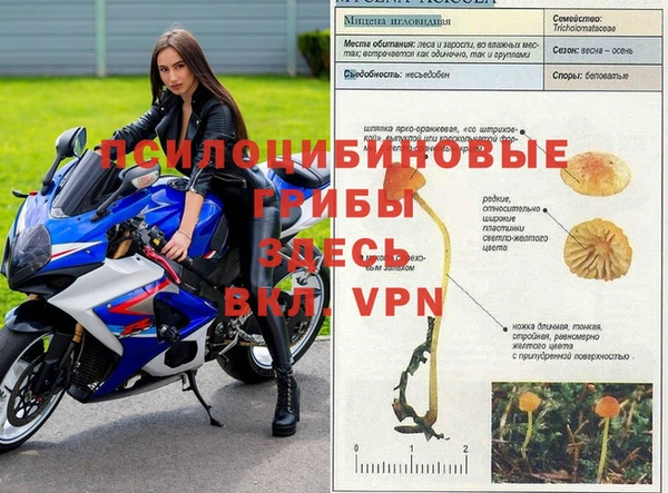 прущая мука Беломорск