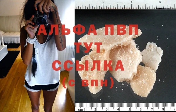 ешки Белокуриха