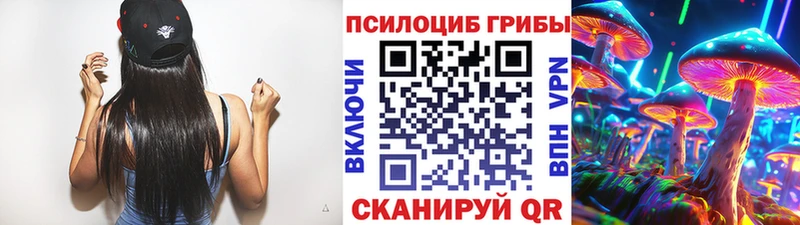 Псилоцибиновые грибы мухоморы  сайты даркнета официальный сайт  Сибай 